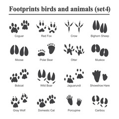 Cougar Paw Vector at Vectorified.com | Collection of Cougar Paw Vector ...