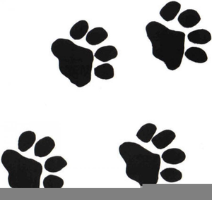 Cougar Paws Clipart Free Images 300x284 Cougar Paws Clipart Free Images