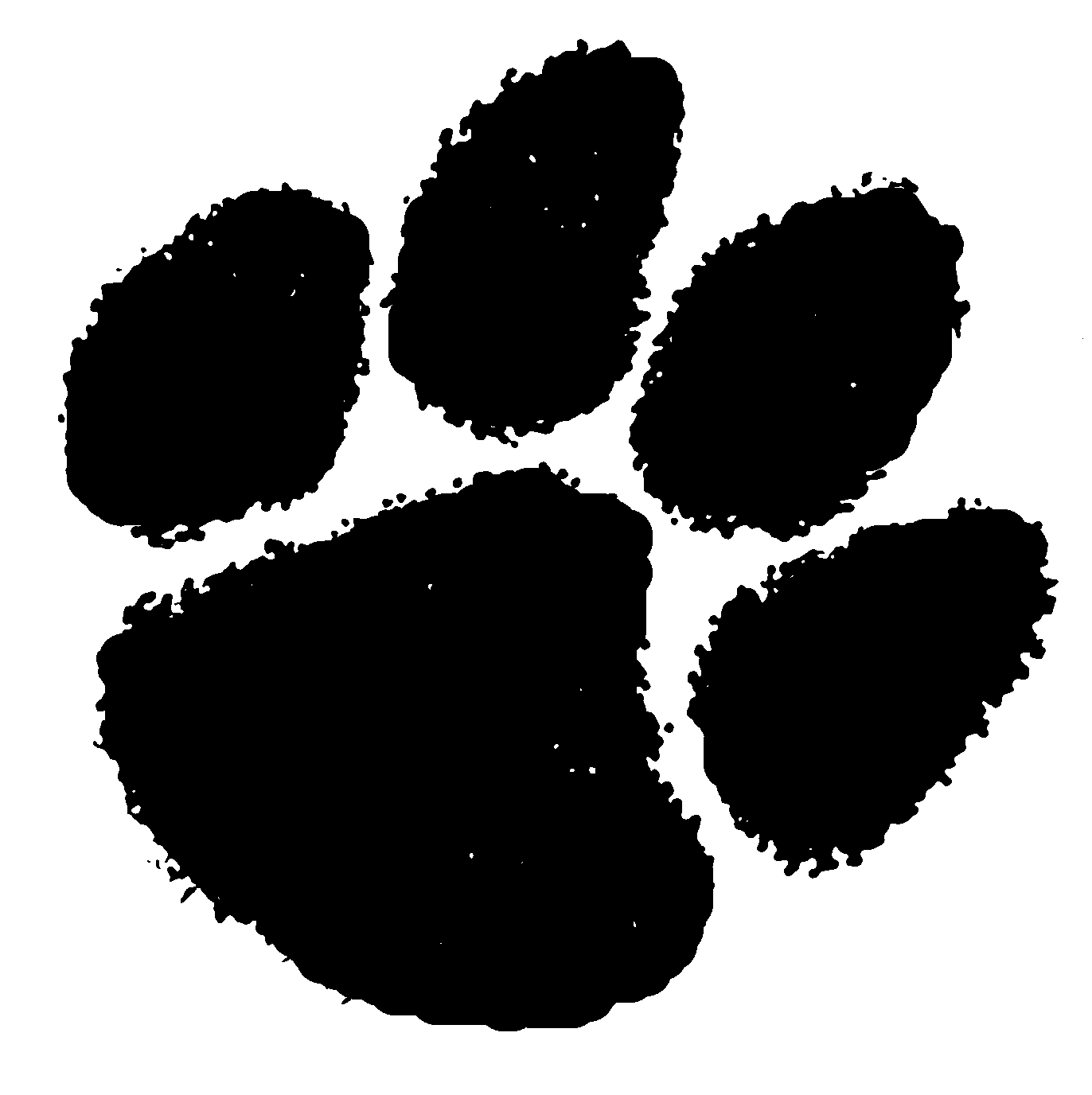cougar paw print graphic