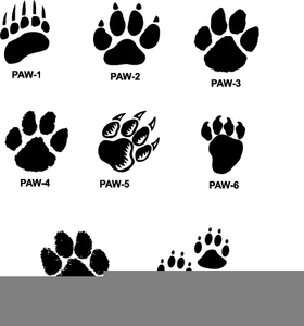 Clipart Cougar Paws Free Images 280x300 Clipart Cougar Paws Free Images