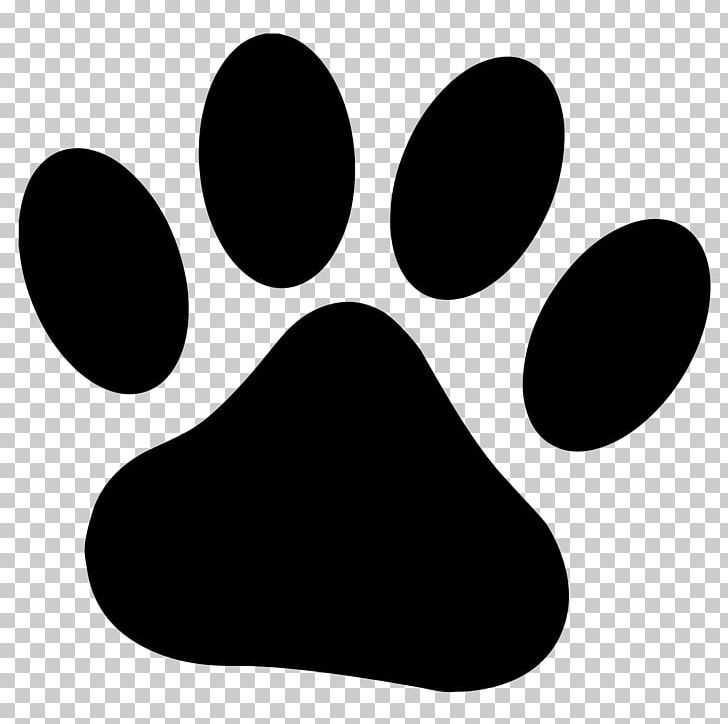 Free Free Cougar Paw Print Svg Free 804 SVG PNG EPS DXF File