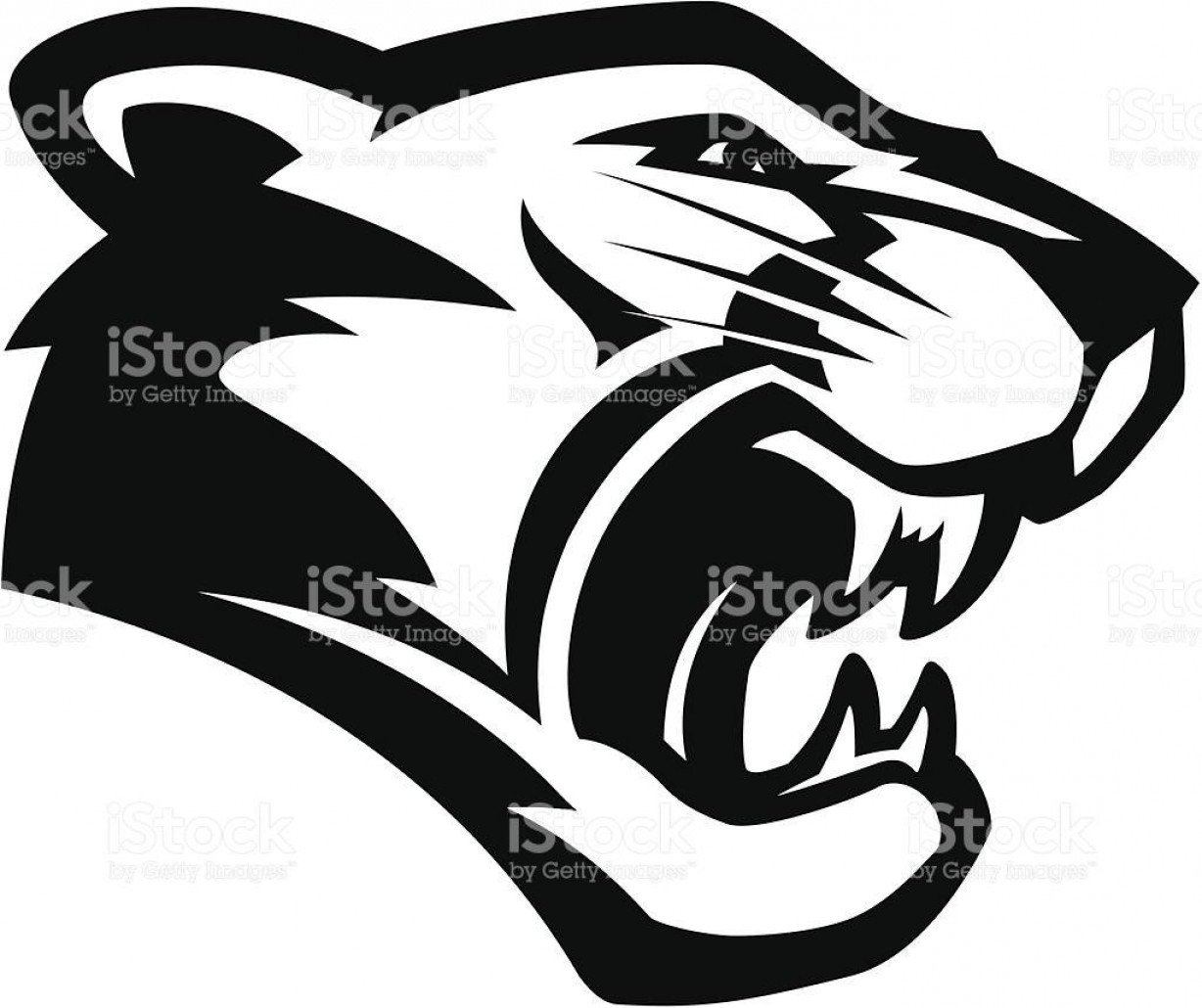 Hd Cougar Head Mascot Bw Vector Pictures Soidergi 1228x1030 Hd Cougar Head Mascot Bw Vector Pictures Soidergi
