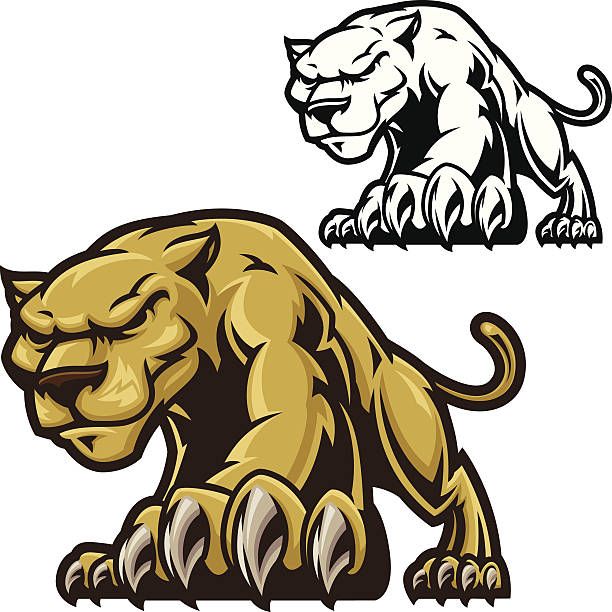 Vector Football Cougar Stalking Vector Art Illustration Best 612x612 Vector Football Cougar Stalking Vector Art Illustration Best