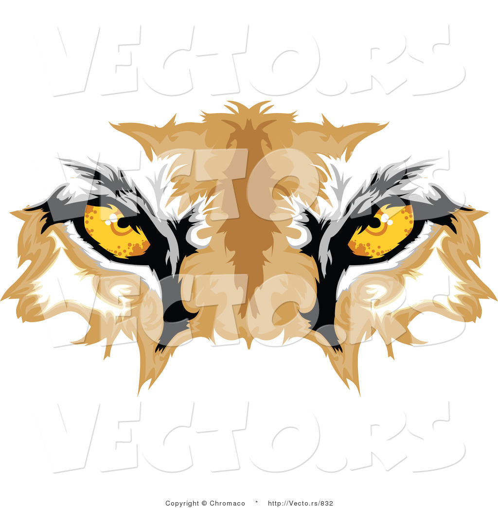 Vector Of Cougar Eyes 1024x1044 Vector Of Cougar Eyes