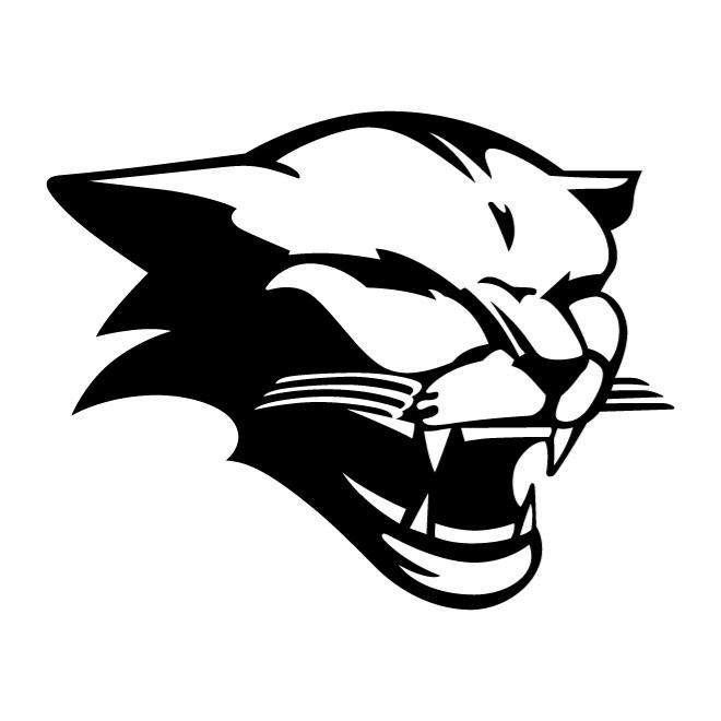 Cougar Vector Graphics 660x660 Cougar Vector Graphics