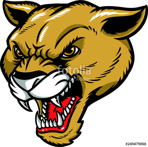 Cougar Stock Image And Royalty Free Vector 500x497 Cougar Stock Image And Royalty Free Vector