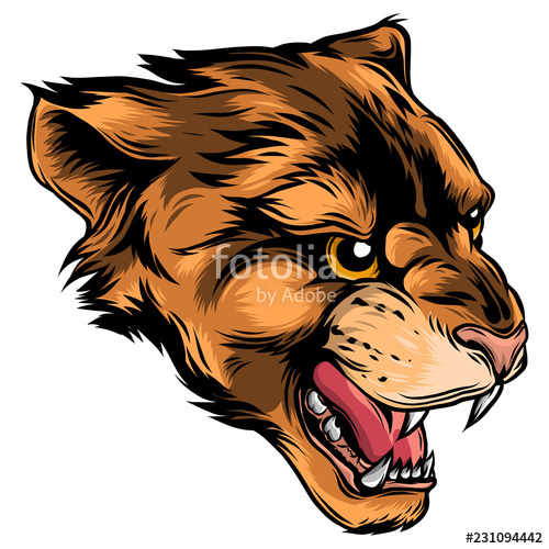 500x500 Cougar Panther Mascot Head Vector Graphic Illustration Stock