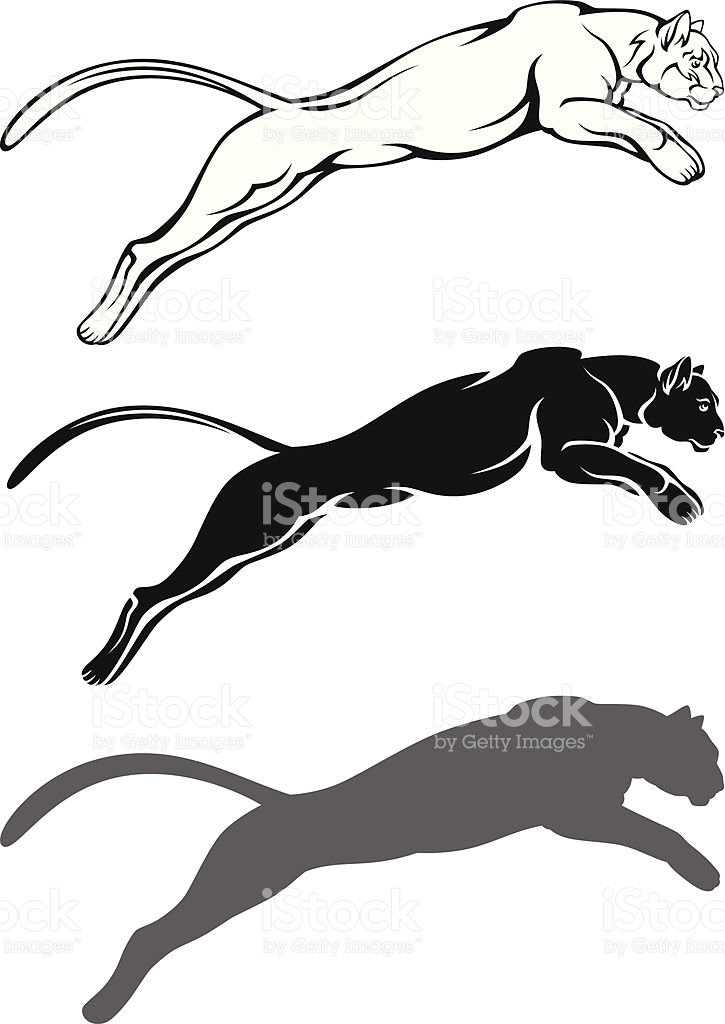 725x1024 Cougar Running Clipart