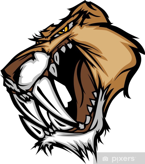 616x700 Cougar Saber Tooth Cat Mascot Head Vector Graphic Wall Mural