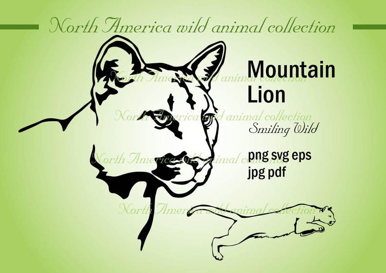 794x561 Mountain Lion Cougar Art Vector Graphic Puma Clipart Etsy