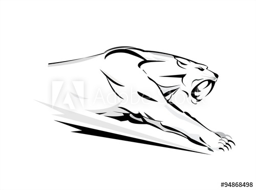 500x370 Puma Cougar, Running Cougar Attacking Cougar Fearless Cougar