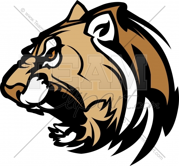 590x546 Cougar Clipart Head Image Easy To Edit Vector Format