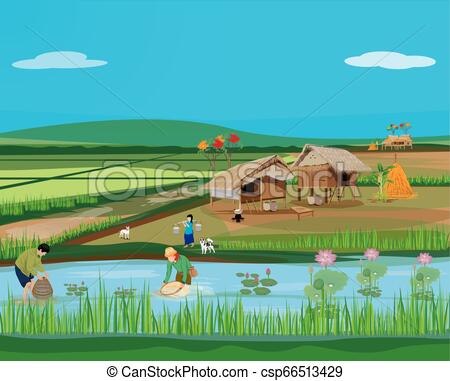 450x381 Lifestyle Of People