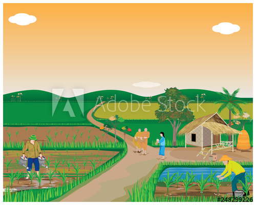 500x400 Lifestyle Of People