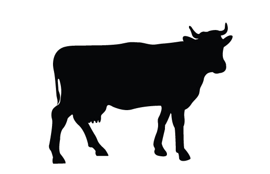 550x354 Cow Silhouette Images About Animal Vector Graphics On Clip Clipart