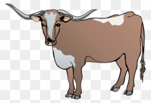 300x206 Download Free Png Longhorn Cattle Clipart Drawing Cow Vector Free