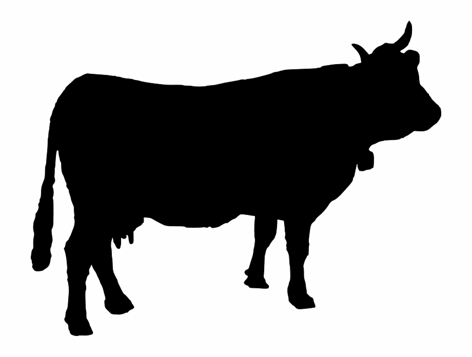 920x696 Pix For Cow Silhouette Png