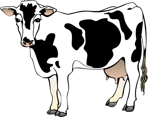 600x477 Cow Clipart Cow Clip Art