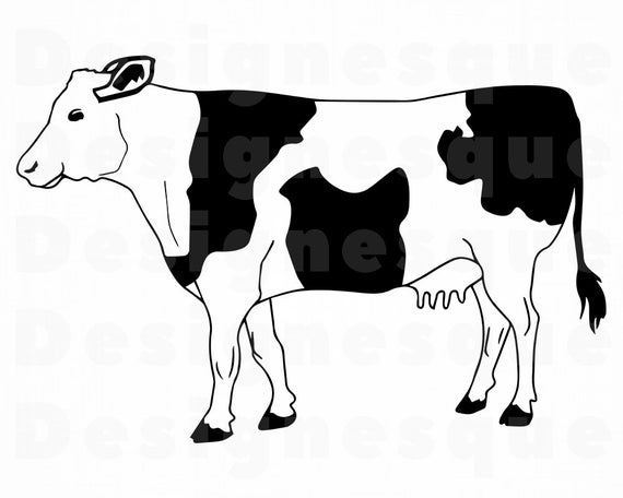 570x456 Cow Cow Cattle Cow Clipart Cow For Etsy