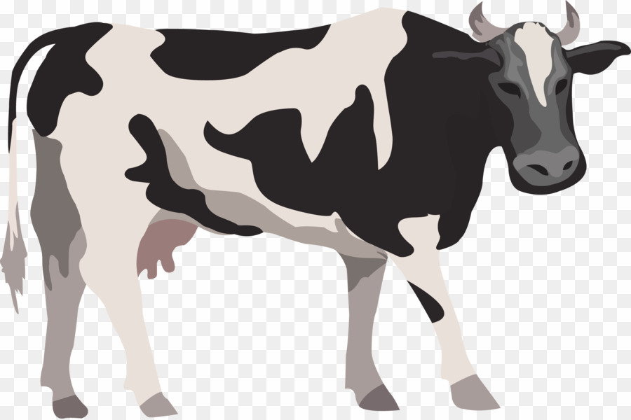 900x600 Cow Vector Png Holstein Friesian Cattle Brown Swiss Cattle Clipart