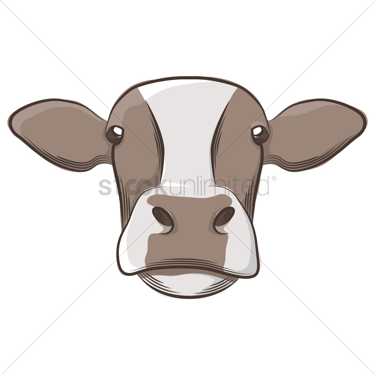 1300x1300 Cow Face Vector Image