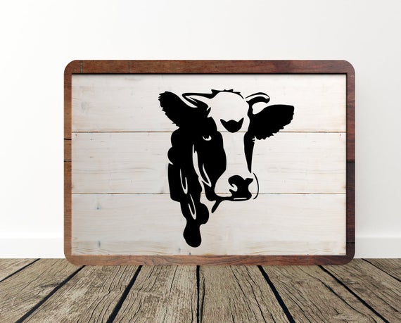 570x459 Cow Face Cow Face Cow Face Cow Etsy