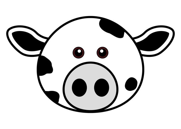 686x490 Cute Cow Face