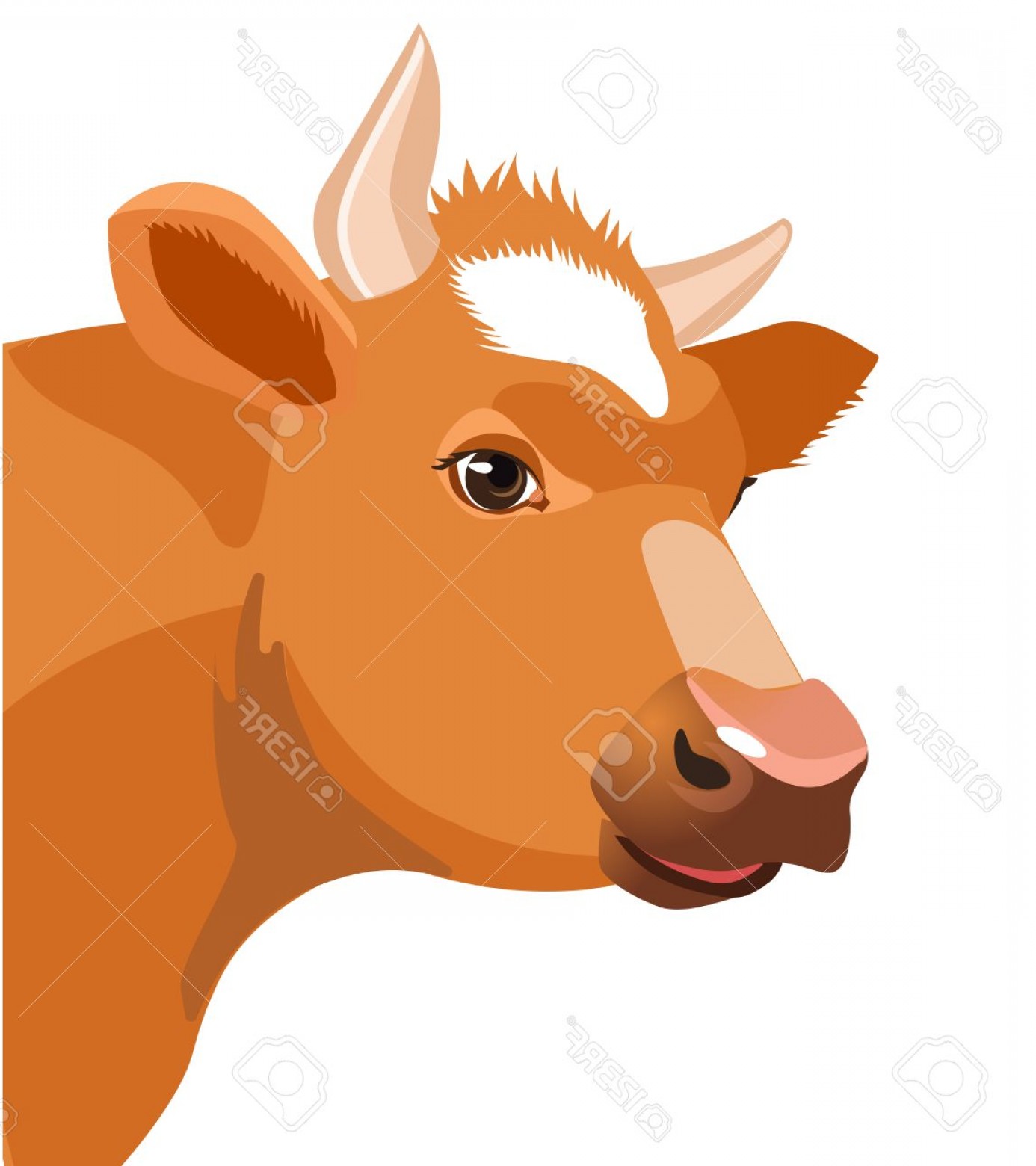 1386x1560 Cute Cow Vector Face Hoodamathrun