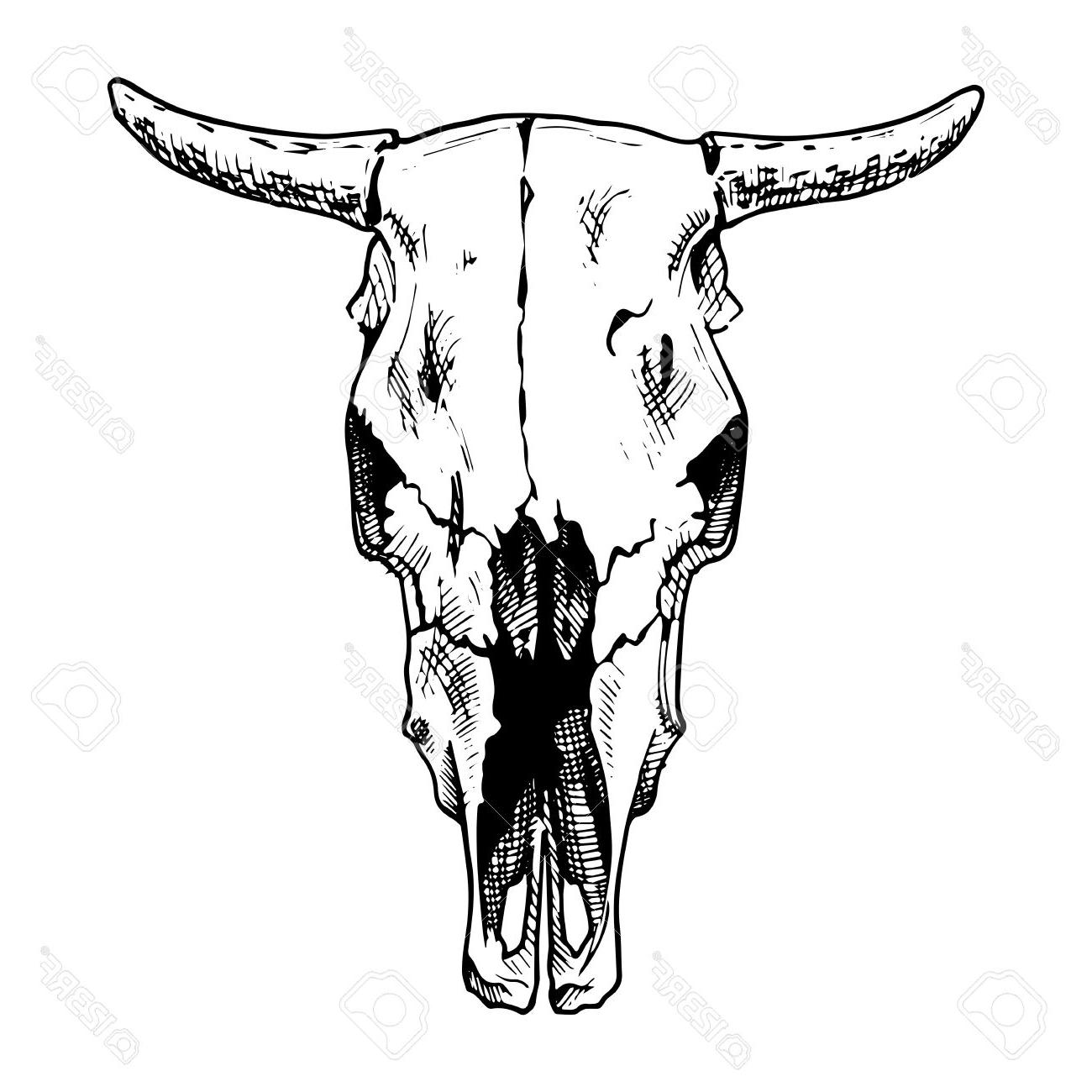 1300x1300 Hd Ornament Black And White Cow Face Vector Pictures Free Vector