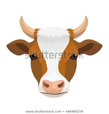 450x470 Cartoon Cow Face Iso
