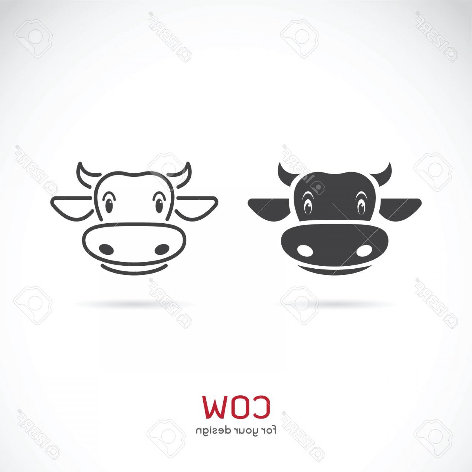 1560x1560 Cow Face Vector Catchsplace