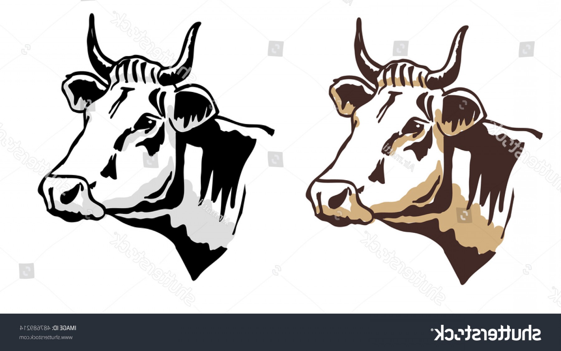 Cow Head Vector at Vectorified.com | Collection of Cow Head Vector free ...