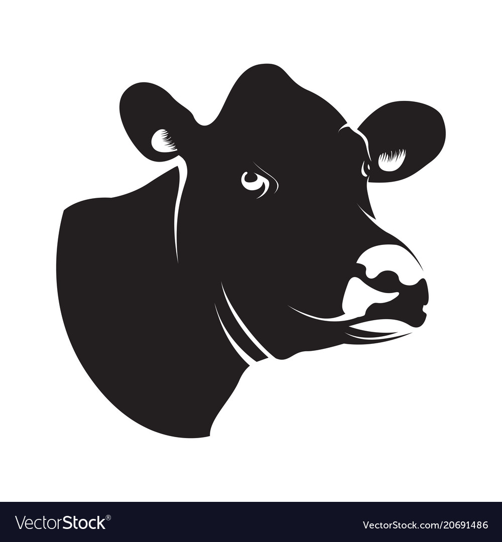 Download Cow Head Vector at Vectorified.com | Collection of Cow ...