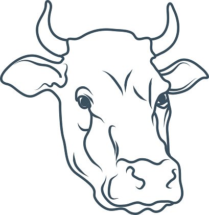 409x421 Cow,cartoon Cow,cow Drawing,cow Head Vector Illustration Premium