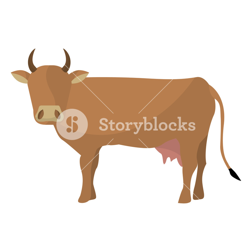 Indian Brown Cow Icon Vector Illustration Graphic Design Royalty 1000x1000 Indian Brown Cow Icon Vector Illustration Graphic Design Royalty