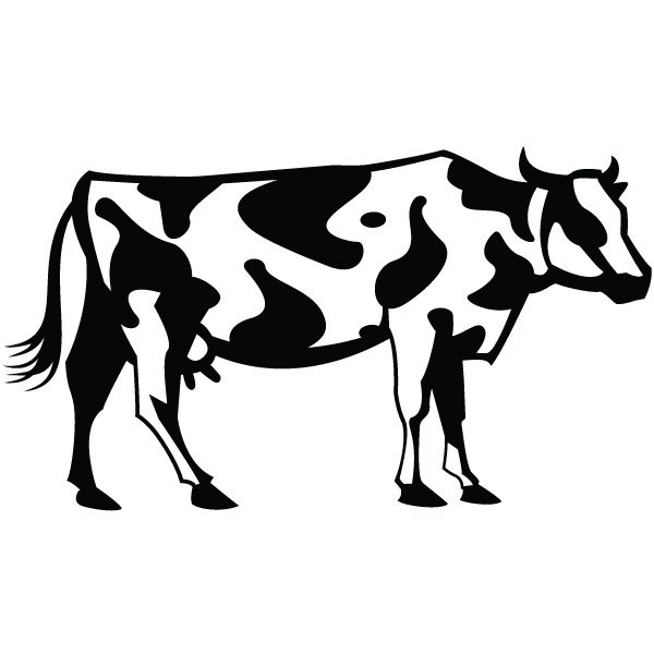 Cow Logo Vector