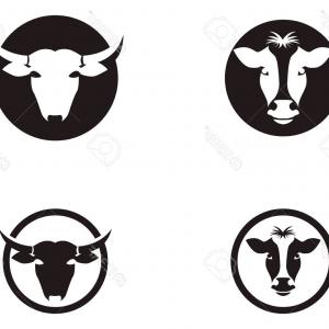 300x300 Photostock Vector Cow Head Symbols Logo Vector Template Newwaysys