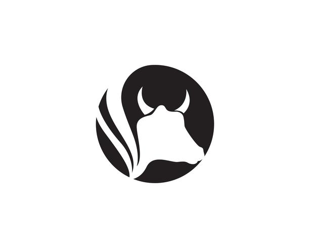 613x490 Cow Logo Template Vector Icon Illustration