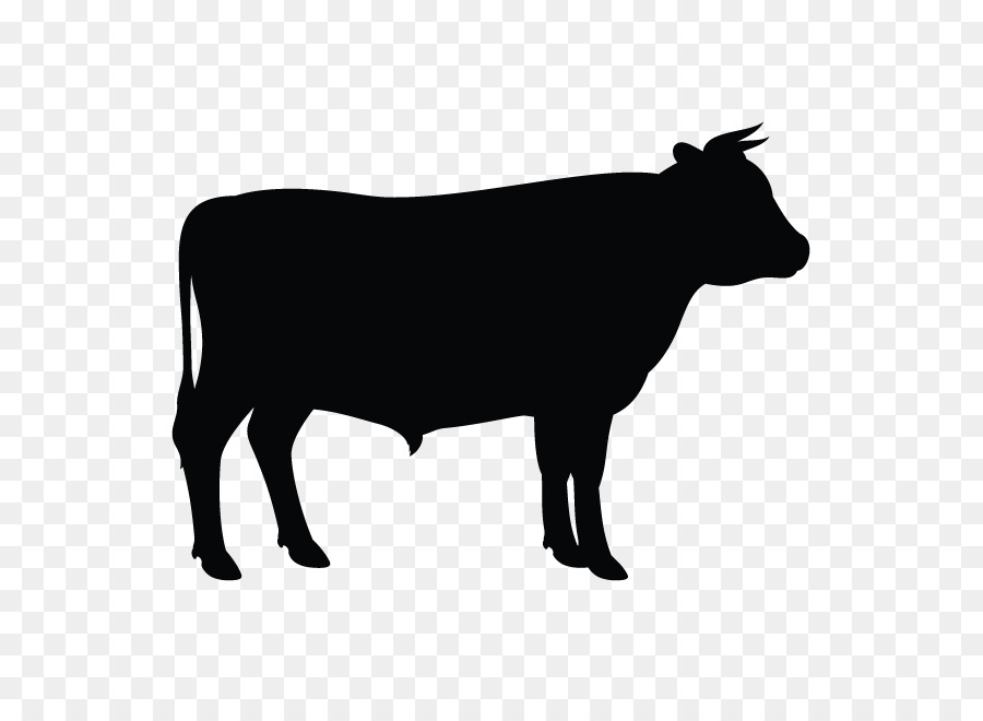 900x660 Cow Vector Png Images