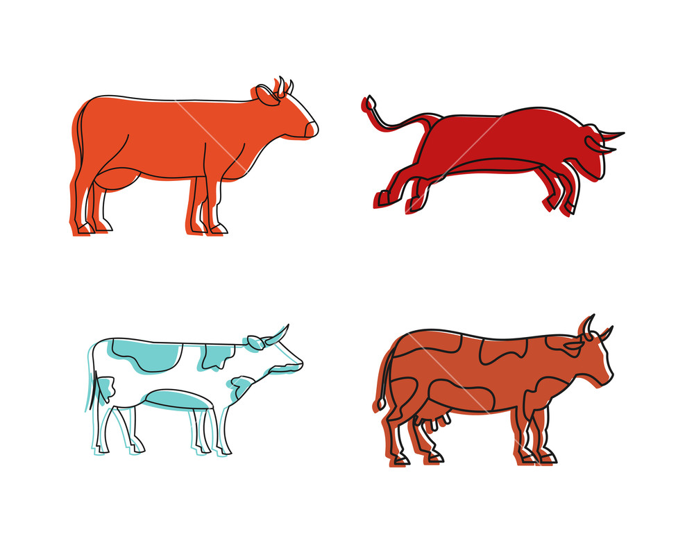 1000x783 Cow Icon Set Color Outline Set Of Cow Vector Icons For Web Design