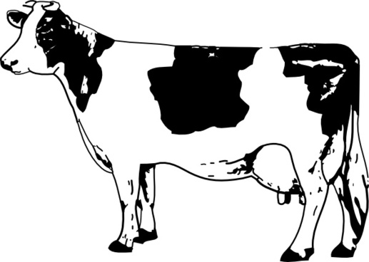 517x368 Cow Outline Free Vector Download