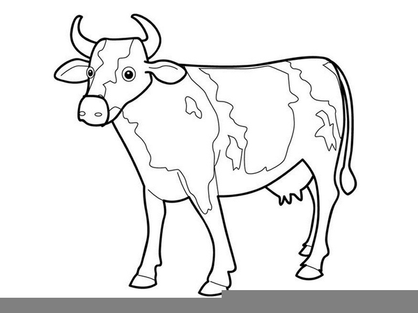 600x450 Cows Clipart Outline For Free Download And Use Images
