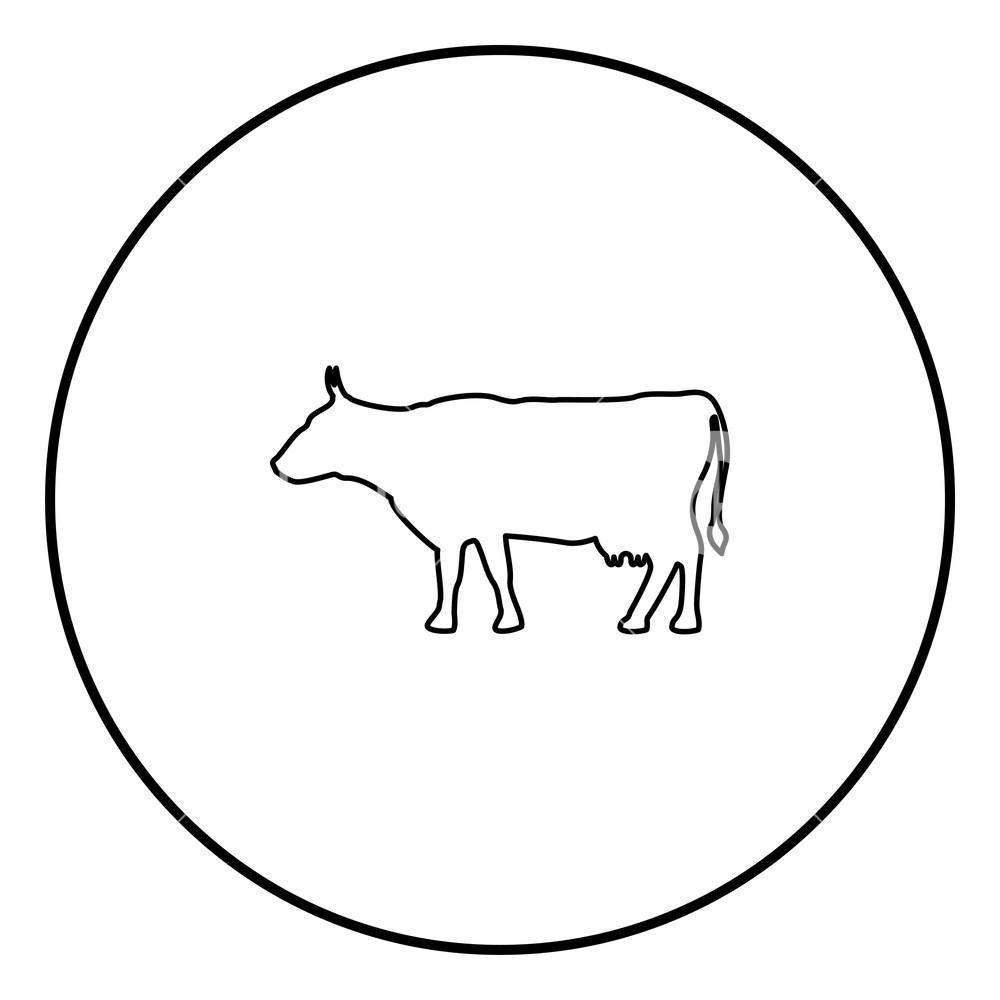 1000x1000 Hd Cow Outline Vector Images Vector Images Design