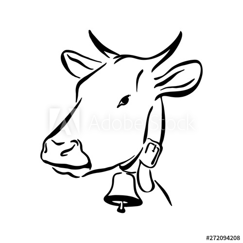 500x500 Hand Drawn Cow Sketch Illustration Vector Black Ink Drawing Farm