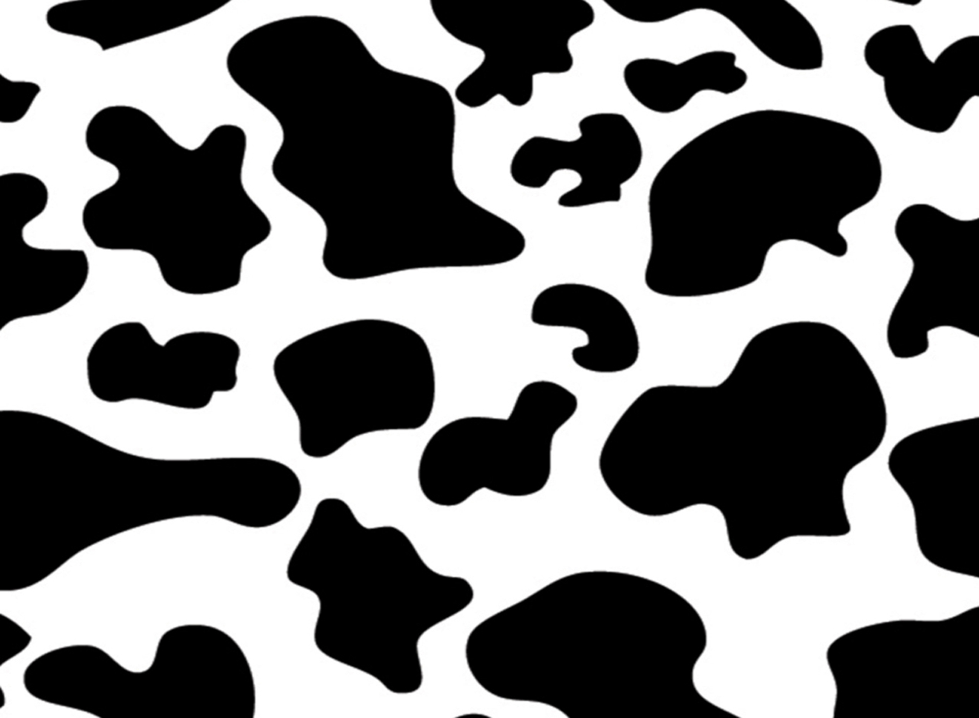 1915x1404 Cow Print Clipart