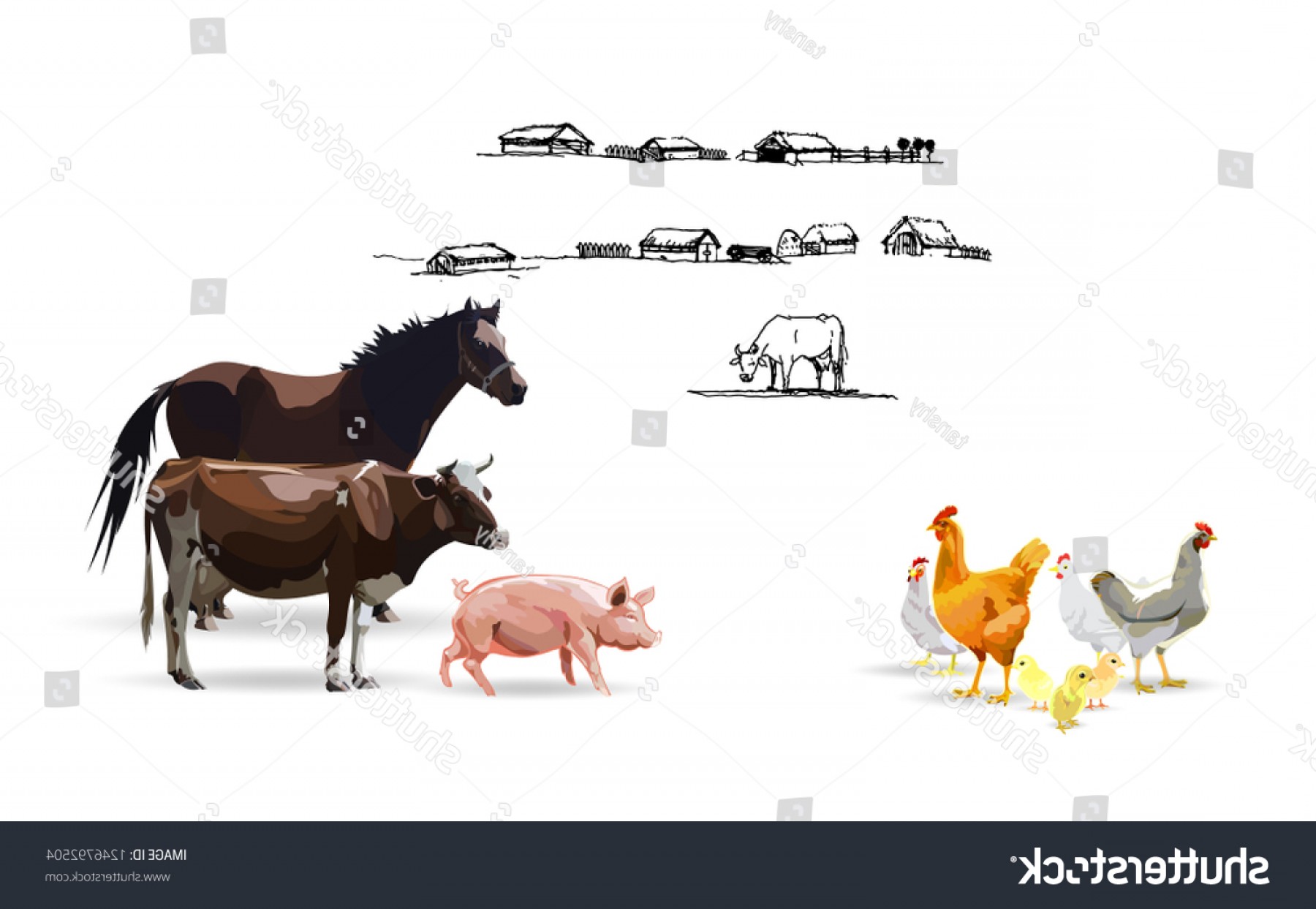 Farm Animals Cow Horse Pig Hen Studiogrfx 1800x1243 Farm Animals Cow Horse Pig Hen Studiogrfx