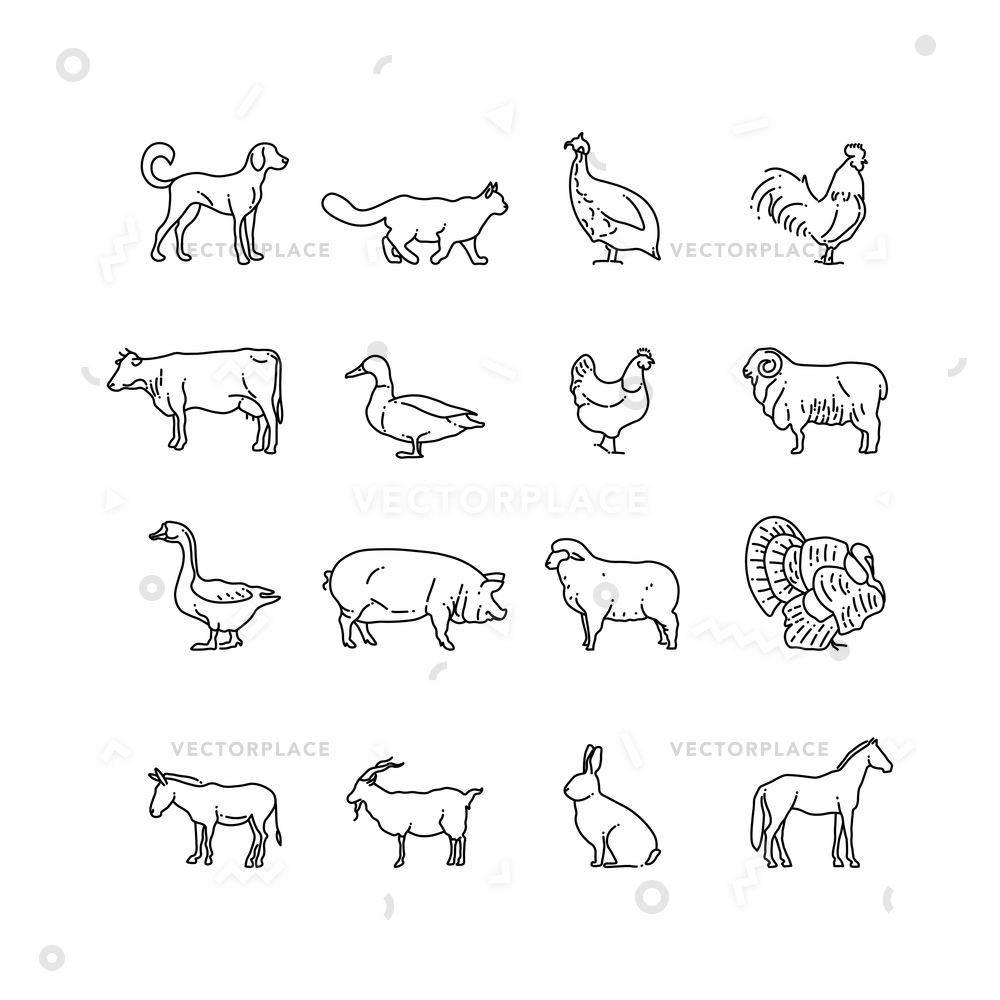 Farm Animals Thin Line Icons Set Vector Illustration 1000x1000 Farm Animals Thin Line Icons Set Vector Illustration