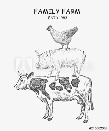 Farm Animals Cow, Pig, Chicken Vector Illustration Emblem 417x500 Farm Animals Cow, Pig, Chicken Vector Illustration Emblem