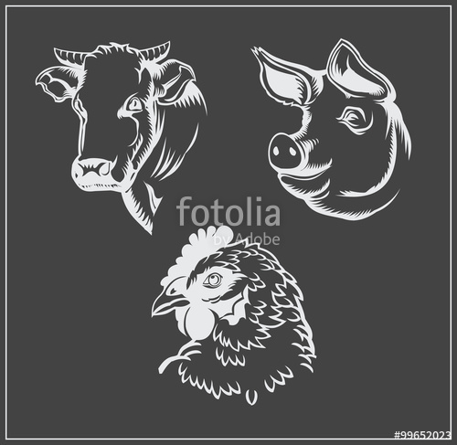 Heads Of Farm Animals Cow, Pig And Chicken Vector Monochrome 500x487 Heads Of Farm Animals Cow, Pig And Chicken Vector Monochrome