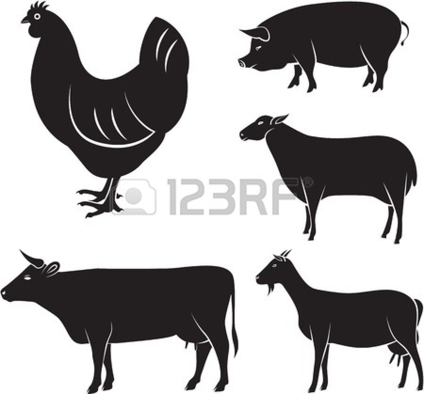 Stock Vector Craft Ideas Pet Chickens, Animal Silhouette 1350x1257 Stock Vector Craft Ideas Pet Chickens, Animal Silhouette